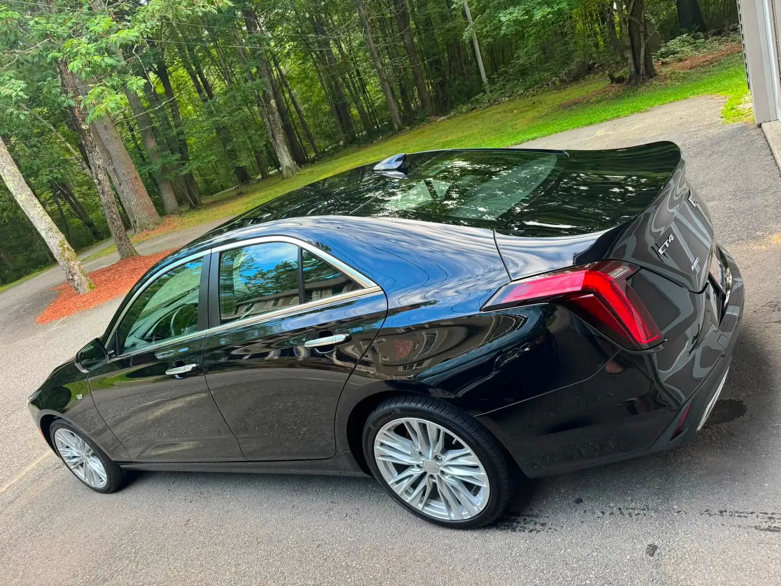 Black Cadillac CT4 after a detail, parked under the trees